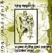 king_megatrip_-_a_year_in_the_soul_society_10_oct_2010-cover