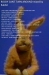 rabbit_-_rocky_cover