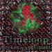 timeloop-broken-experiment