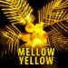 traptrack_-_mellow_yellow_cover.jpg