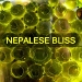 traptrack_-_nepalese_bliss_cover.jpg